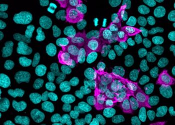 Haberse infectado antes de la primera dosis mejora la respuesta inmunitaria contra la COVID-19