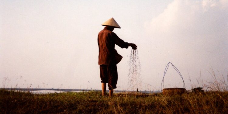 Las economías en desarrollo de Asia avanzan con viento a favor