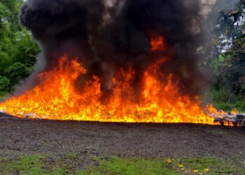 La Procuraduría incinera más de 2,000 kilos de drogas