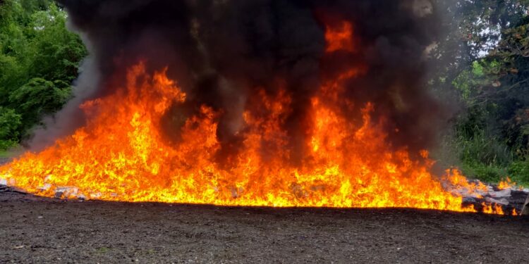 La Procuraduría incinera más de 2,000 kilos de drogas