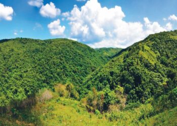 Jorge Mera ofrece en Panamá los datos de cobertura boscosa de RD