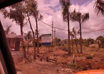 La Procuraduría de Medio Ambiente abre investigación contra el director del Distrito Palmarejo 