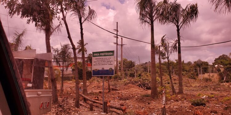 La Procuraduría de Medio Ambiente abre investigación contra el director del Distrito Palmarejo