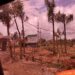 La Procuraduría de Medio Ambiente abre investigación contra el director del Distrito Palmarejo