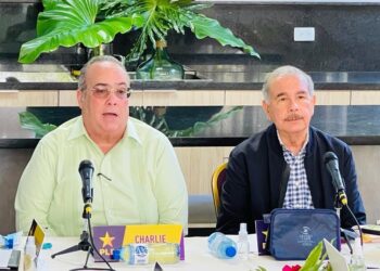 El Comité Político del PLD discute línea organizativa y electoral