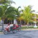 Cuba continúa expansión de turismo ecológico en cayos de la isla caribeña