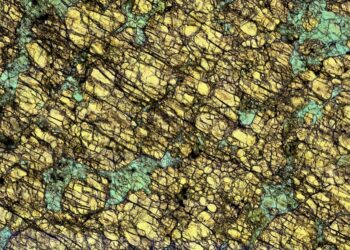 Hallazgo podría explicar la explosividad de algunas erupciones volcánicas