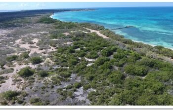 Reporte: Proyecto turístico Pedernales pasa con buenas notas la evaluación ambiental