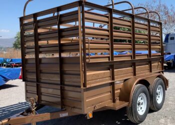 Intrant regula remolques, semirremolques y buggies de fabricación local