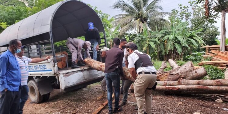 Procuraduría Ambiental ocupa más de 200 troncos tras allanar aserraderos