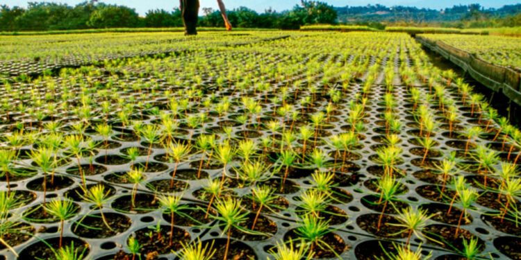 Plan Sierra realiza asamblea de socios