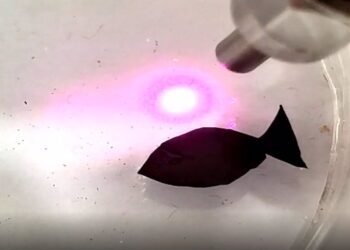 Crean robot con forma de pez que 'nada' recogiendo microplásticos