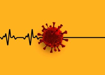 Un estudio descubre mecanismos que el coronavirus utiliza para atacar al corazón