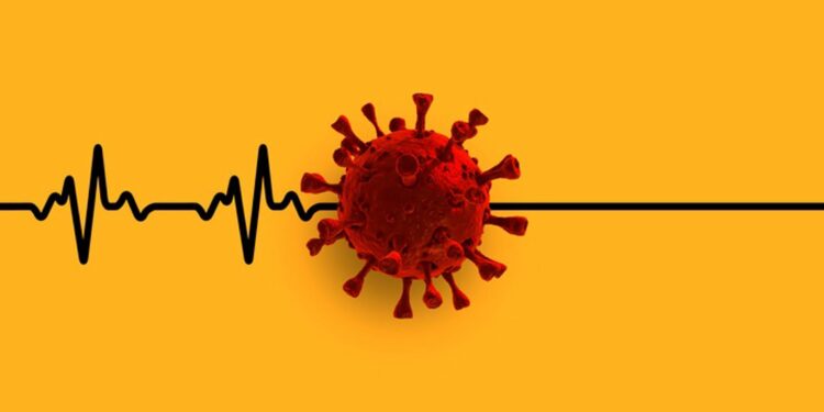 Un estudio descubre mecanismos que el coronavirus utiliza para atacar al corazón