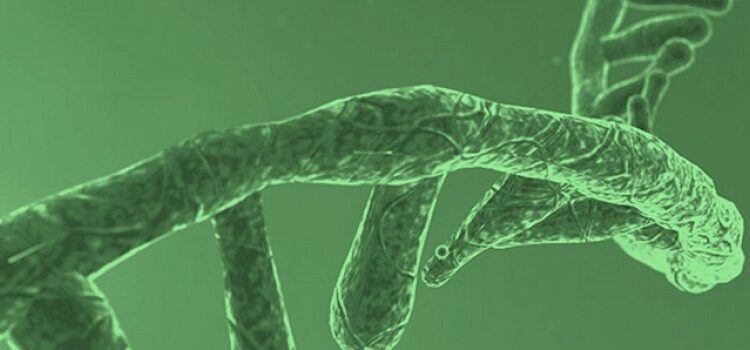 El Ácido Ribonucleico ARN es el mensajero del ADN