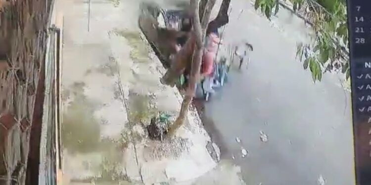 Solicitan prisión contra conductora atropelló a dos hombres jugaban dominó