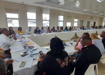 La decisión del Comité Ejecutivo de la CNTD sobre la cesantía laboral