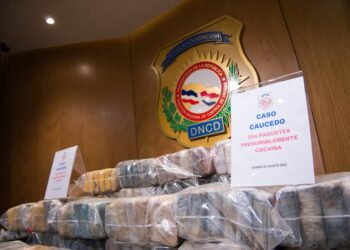 Narcos fracasan en envío de 594 paquetes de presunta cocaína a Bélgica
