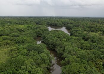 Roddy Pérez y Dominicana Verde Estrenan 6 documentales