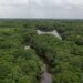 Roddy Pérez y Dominicana Verde Estrenan 6 documentales