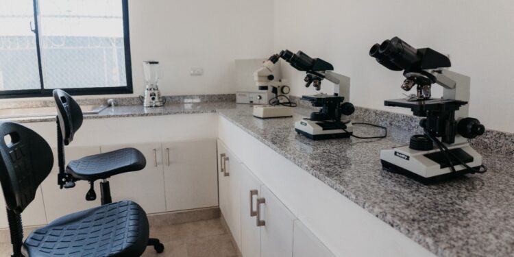 DP World Caucedo ya cuenta con laboratorio de Sanidad Vegetal