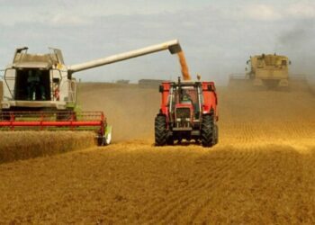 Reportan disminución en los precios mundiales de los alimentos
