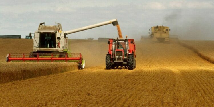 Reportan disminución en los precios mundiales de los alimentos