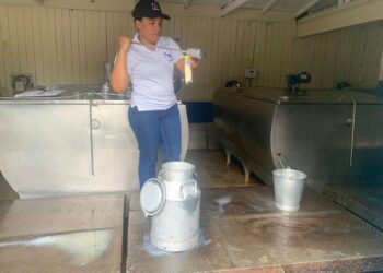 Más de mil analíticas para determinar calidad de leche en RD