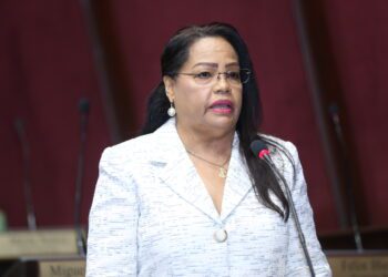 Diputados aprueban proyecto garantiza aprendizaje de inglés como segundo idioma en RD