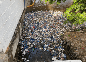 Seaboard recoge 900 kilos de basura al mes en el Río Ozama