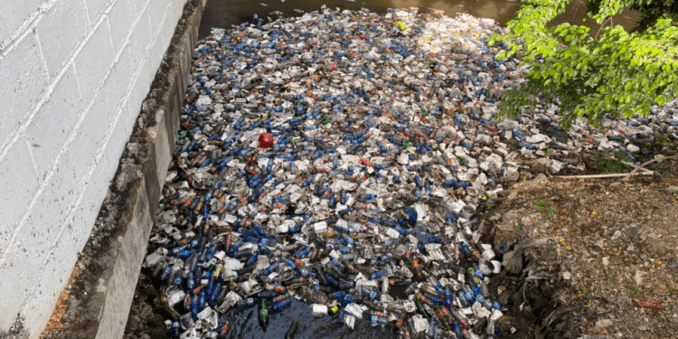 Seaboard recoge 900 kilos de basura al mes en el Río Ozama