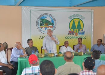 El Bagrícola invertirá US$60 millones en relanzar la producción de piña 