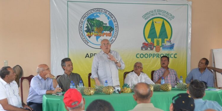 El Bagrícola invertirá US$60 millones en relanzar la producción de piña