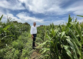 Destacan renacimiento del proyecto La Cruz de Manzanillo