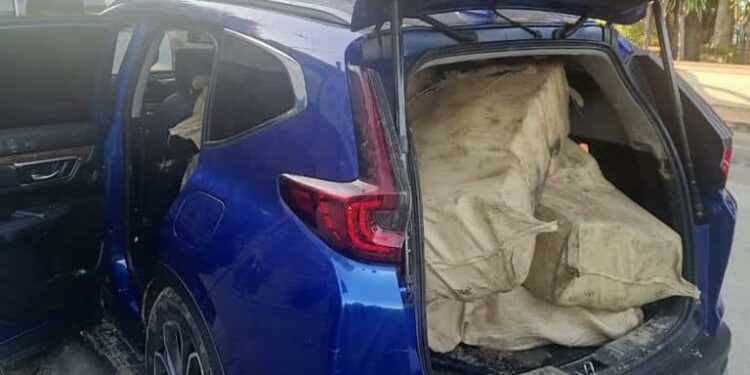 Envían a prisión tres hombres por tráfico de 810 libras de marihuana en Elías Piña