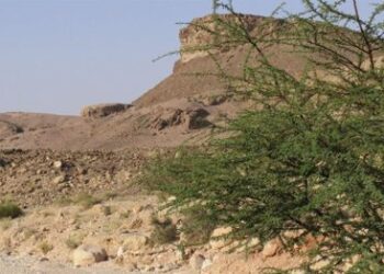 Las Minas del Rey Salomón colapsaron porque no eran sostenibles