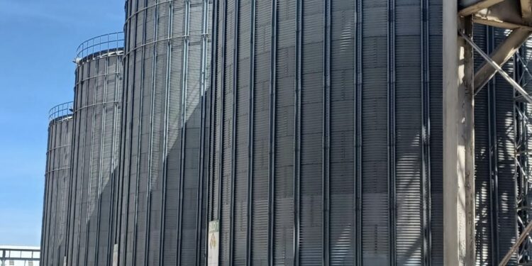 Vandalizan camiones cargados con insumos desde el puerto Haina