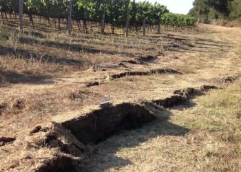 Cambios magnéticos locales preceden a terremotos en California