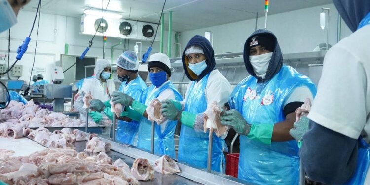 Baja exportaciones de carnes hacia Haití pero crece en otros  mercados 