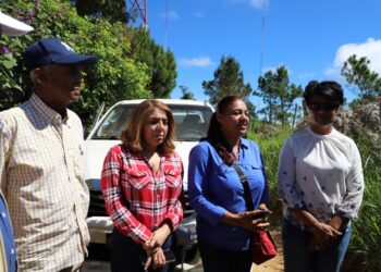 Avanza plan siembras de café montañas Jarabacoa