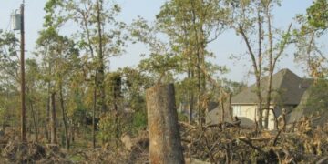 El paso de un ciclón hace más vulnerable el terreno a los incendios