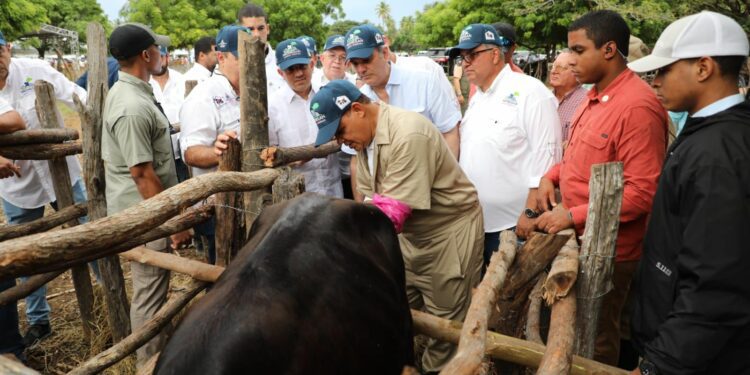 Con inversión de RD$ 700 millones, Gobierno inicia mejoramiento de la Ganadería 