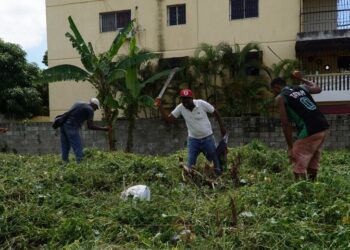 Ayuntamiento interviene 22 solares baldíos en Santo Domingo Este   