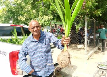 Ministerio de Agricultura mejora prácticas agrícolas para producir frutales  