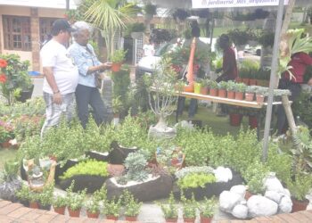 Jardín Botánico anuncia Festival Nacional Plantas y Flores