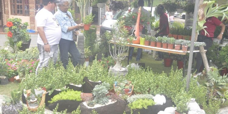 Jardín Botánico anuncia Festival Nacional Plantas y Flores