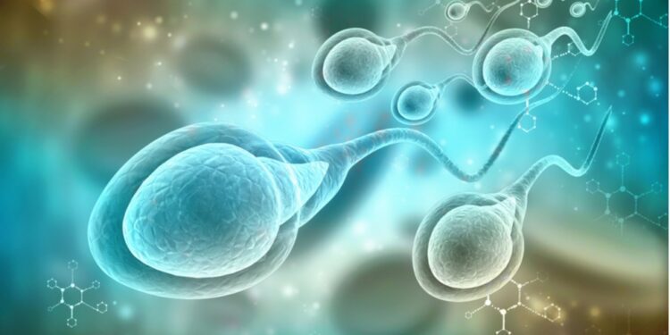 El recuento de espermatozoides en todo el mundo ha caído un 62,3 por ciento