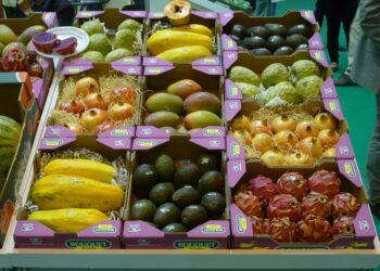 El lento crecimiento de las exportaciones de Latinoamérica y Caribe 