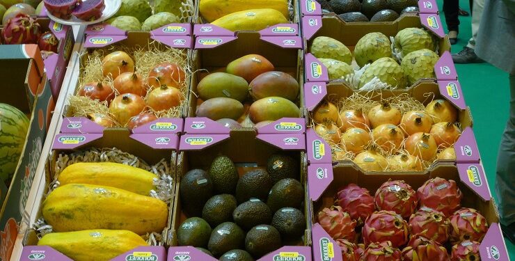 El lento crecimiento de las exportaciones de Latinoamérica y Caribe 