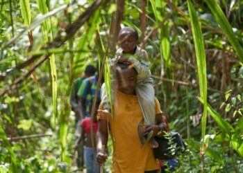 Número récord de niños cruzó el Tapón de Darién este año
